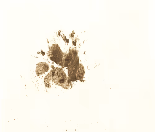 Item #94376759896302123799325223157901749771994620698269210834977082550536500150273 Media