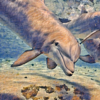 Item #39800324863389322776906793447436645107867592537882393143685198609106146951169 Media