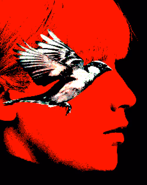 Item #81777902550134852161043821009735333774598867114751127289915507942908913254401 Media