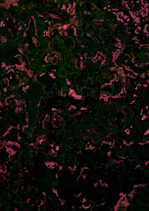 Item #800426490329552907898838003218753352021077305459847457142228928537890390019 Media