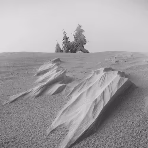 Item #5251330199677453137602023224784085473463322177594998439991548931781622235137 Media