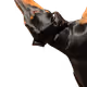 74388183107571848256633446996010033662379072698002169646249461037761713668097