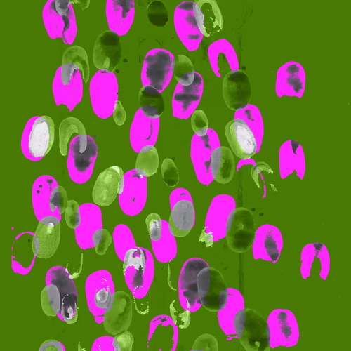 65313840865653522527182281301960830381510461713117611648198117883475476348929