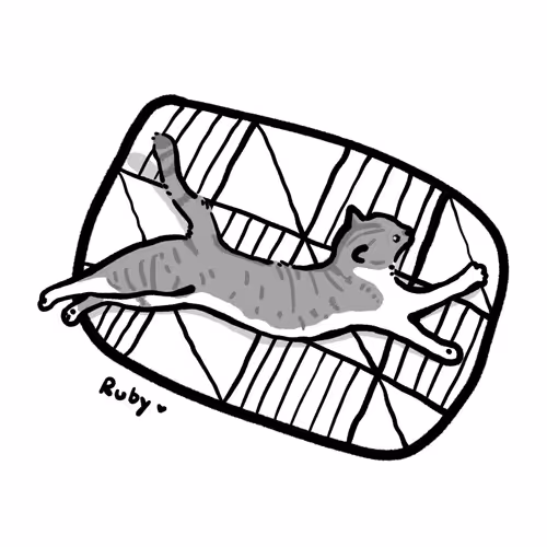 Item #37806378917838279369615934008753608713599685949950538441042993999397416599553 Media