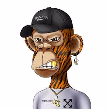 Item #47367285098804590340098737164755532905841448226000359594910361036373144633349 Media