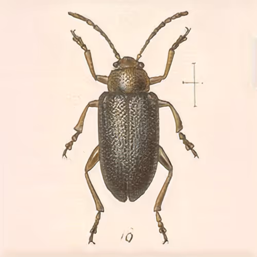 Item #58241160855422744817468407088196322100109565521561100950236904813613390233601 Media