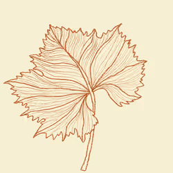 77817176611953197851927854564790911507075696280485007773847887679335383957505