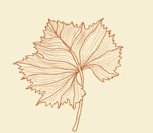 Item #77817176611953197851927854564790911507075696280485007773847887679335383957505 Media