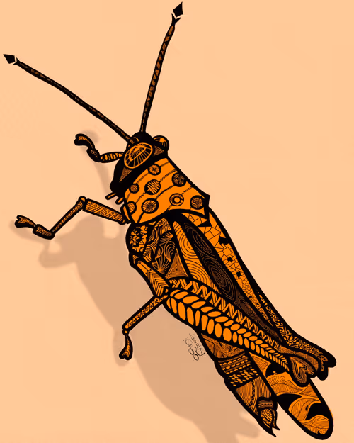 Item #2141876490357759120430650073325956874644020844603919275595865718129722130433 Media