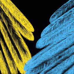 Feathers