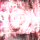 21614253639473209664697341914161628931534500446490140867425249693122930147331