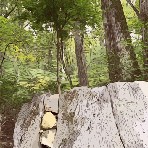 Item #11059950706512792654802825929225580501304675851141237056698729653260634816513 Media