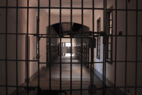 Item #88883349371163491607533237440798629699912672316183715139134230423986075861002 Media