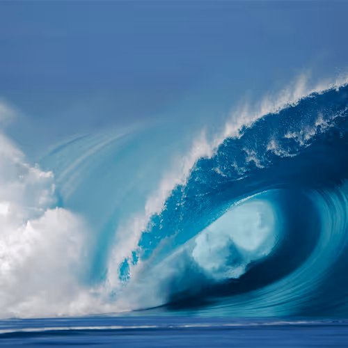 Item #39629935389522237345664437028542438492977381533873015043488418117899559895047 Media