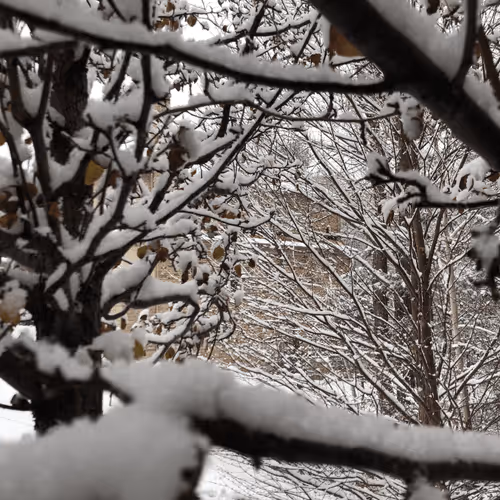 Item #417397526966142335315038325660838601988358571189865637926609357249120829441 Media