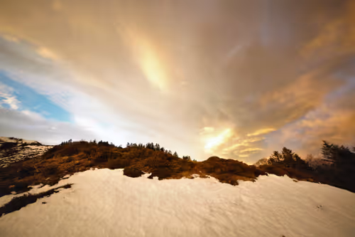 Item #61601413983432262200822046408210296549184035160504594584973518301786686881802 Media