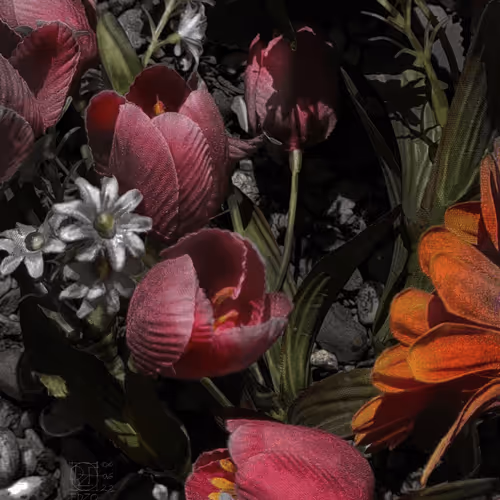 Item #72870681437103033302534611650972968841955188837135075508560703115920356147201 Media