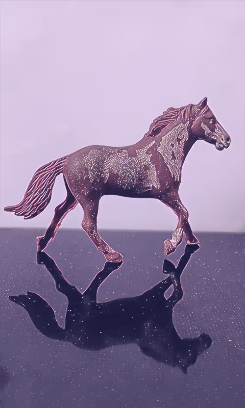 Item #83744598943058006340923454314792856147466055480968082310663932212915245940737 Media