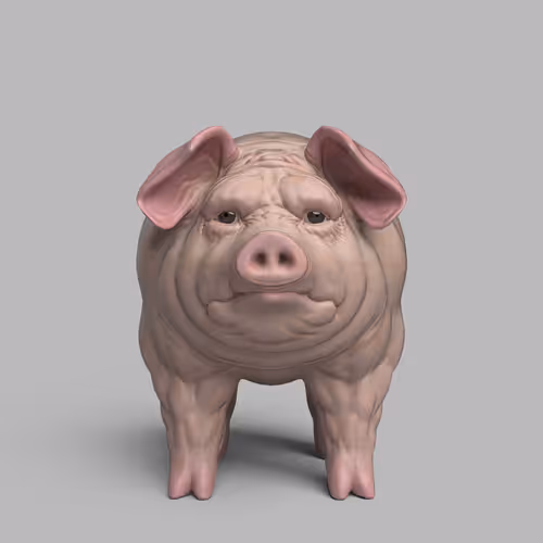 Item #16983713817389912561875268372123772248800098804392541754987345445226538860564 Media