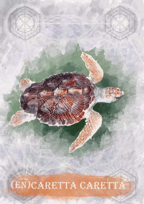 Item #108829080069432666427413762901192148077907568328307962474054884590335826067463 Media