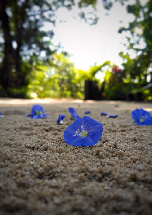 Item #96373460507912281939903112807065392587728079623754575039603803266259039027201 Media