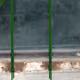 16291649732072071496387138709229315024125907955192761521698802854917381816323