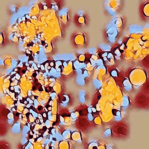 Item #43677637681124857546566976235287214553305943640876348058142639989494678290434 Media