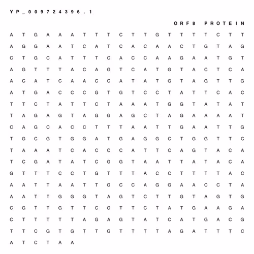 Item #65380618963620114885281271461439322618207565584775953371672302090013462495233 Media