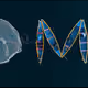 41026888817985440791334348719885626551595806910358747687055882778068410958223