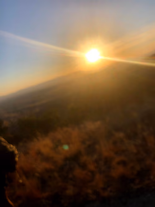 Item #113179902049586149464056827453877808011053308169878992352783596841579430543380 Media