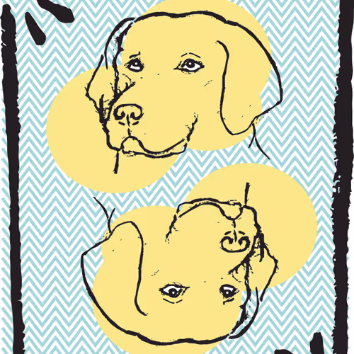 Item #51224915966700160774538338430496236534362062465209534242812469028755844628530 Media