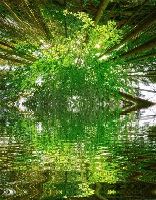 Item #33273431064062745158281459223994481396408298461003960329838769738211508879365 Media