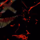 50107317258778552294207371653853797297658021348402662495901556103392220151809