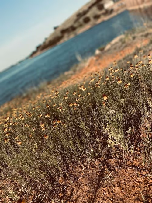 Item #36878996293003159420530988680394500714376917904275382563215545679298747695204 Media