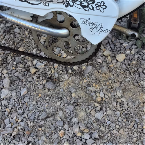 Item #51107028403931991835329534031498650772266658764783547759528015673933833437185 Media