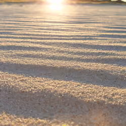 Sandy Sunset