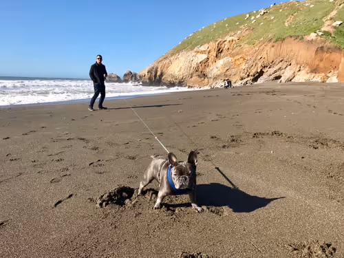 Item #99031261785432219130552668818269695456905868997165113515571762531456975372289 Media