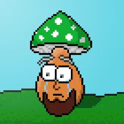 33741781216748986518517832568595493503429706584982134247768926220717490438145