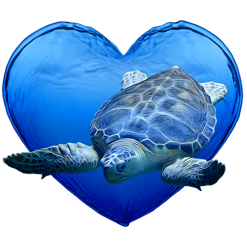 Item #62242735698740646652838811176195790252745899996604082191760039395664894935888 Media