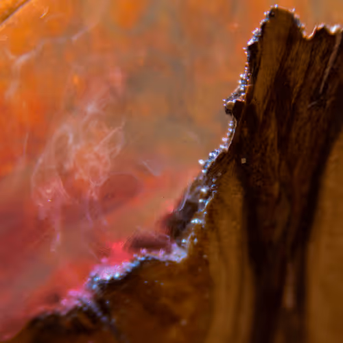 Item #8251270981130702250905355697814279819197198943221984468281114924998622969857 Media