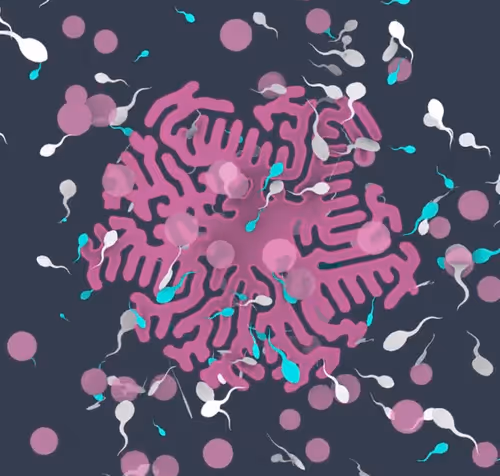 Item #62632216609677411637012858605210071117326333785069046796755873963977419522049 Media