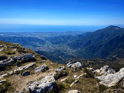 Item #36336170879608208403963751604494433054462935544758920663222913834083034333185 Media