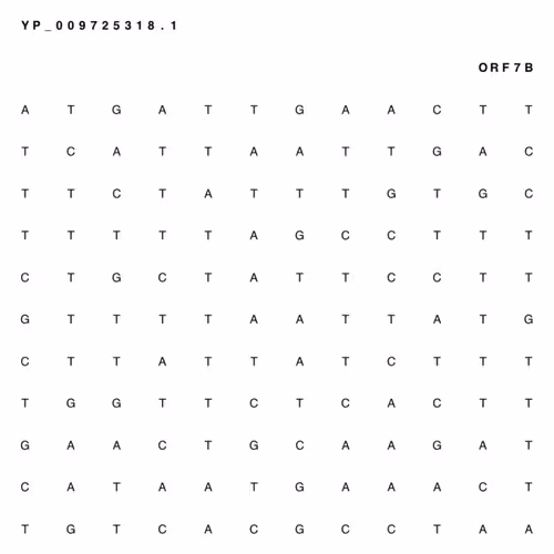 Item #65380618963620114885281271461439322618207565584775953371672302097710043889665 Media