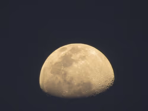 Item #103228425156909521981514443394296883325652084615498748624037784761738431823873 Media