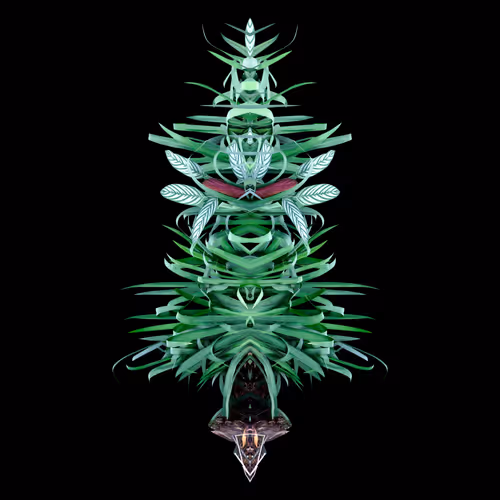 Untitled Collection #429379777