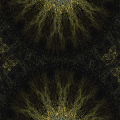 chadtorkelsen2 Collection