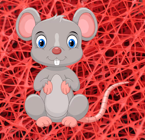 Item #86072364664390631389616019600793996009413136002041095970411733293374264836097 Media