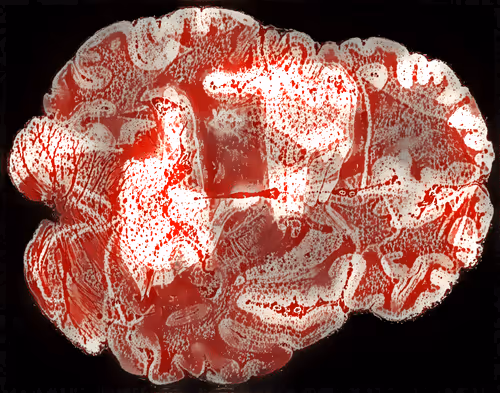 29877578668728852178902598419785793077778618348046200683544678273368106991617