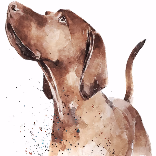 Item #15308155937593783866228062712704217529335676444312394672786838691991158521861 Media