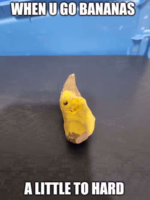 Item #88568704559234525769196153094528870241294849623548788281519482646736526114817 Media